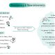 stuttering and neurodiversity infographic 1